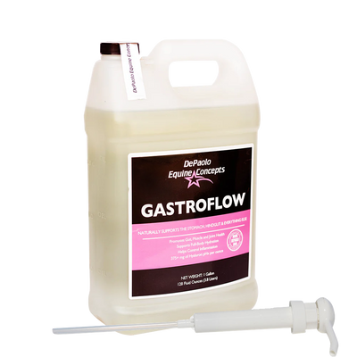 GastroFlow